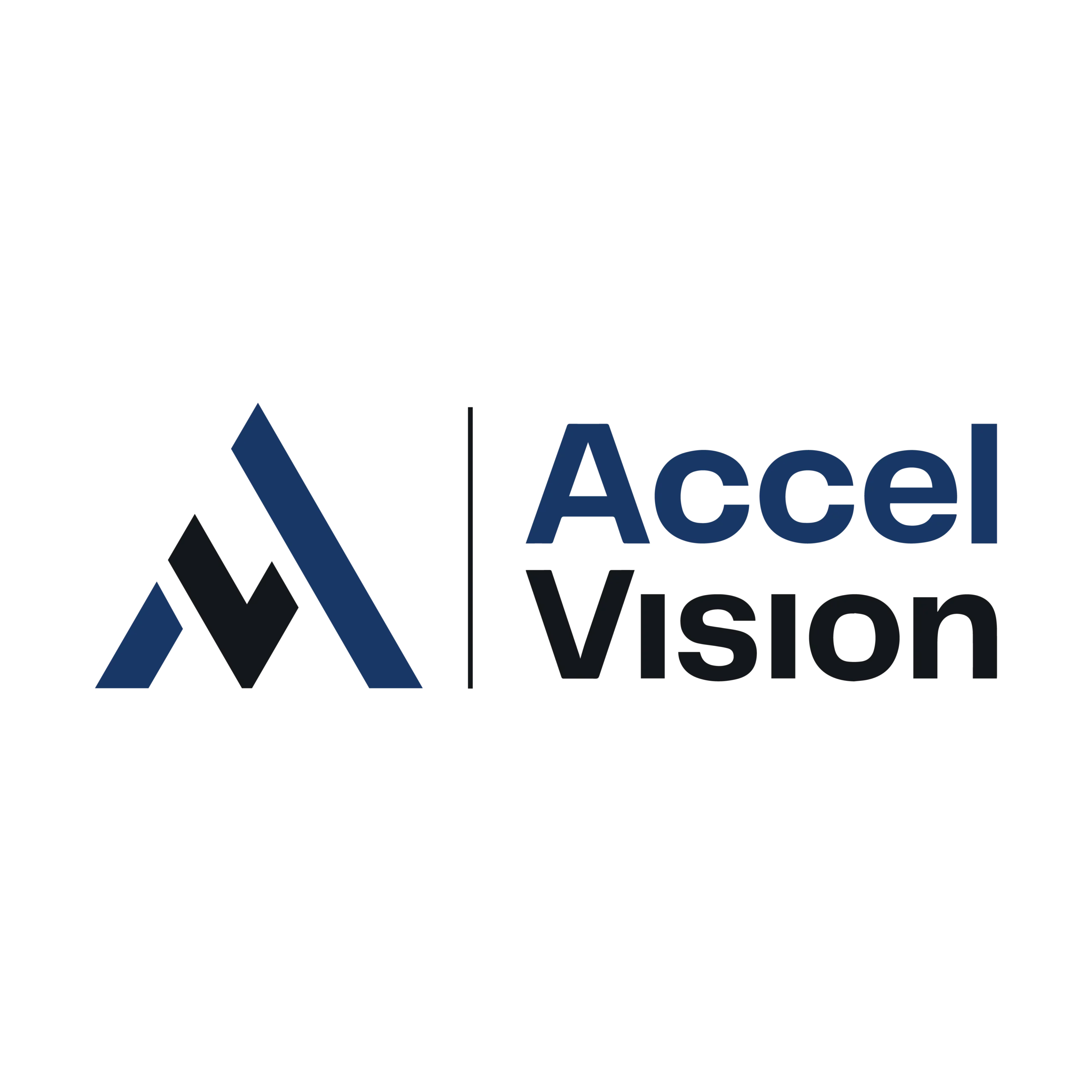 Accel Vision