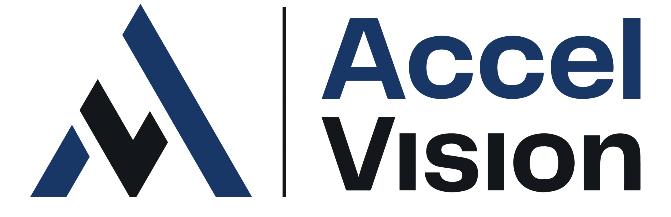 Accel Vision