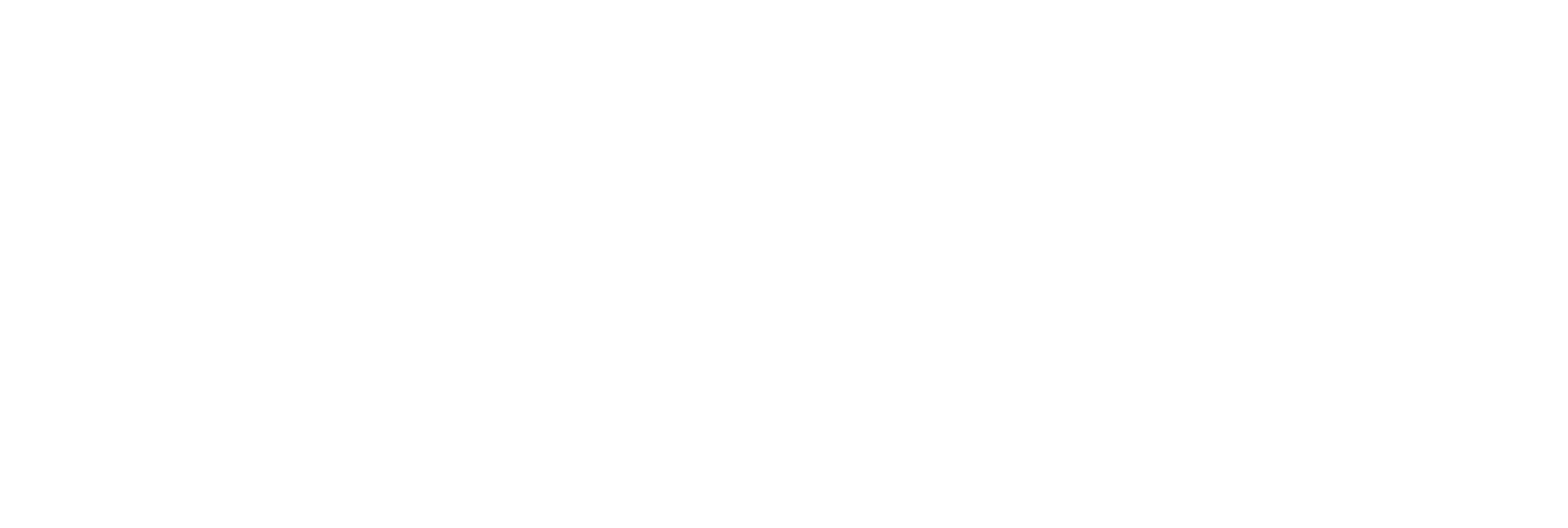 Accel Vision Private Limited